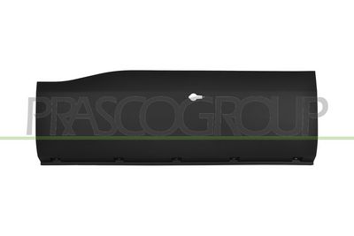 ELEMENTE DECORATIVE/PROTECTIE PORTIERA