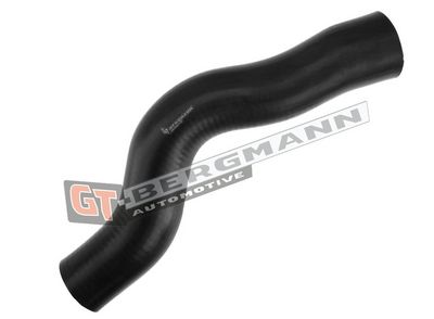 GT-BERGMANN Automotive Kompresoriaus padavimo žarna