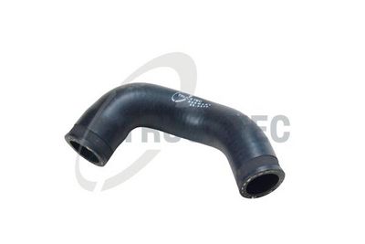 FURTUN EAR SUPRAALIMENTARE