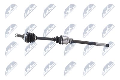 PLANETARA NTY NPWCT059 25