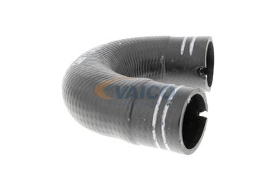 FURTUN EAR SUPRAALIMENTARE VAICO V240804 49