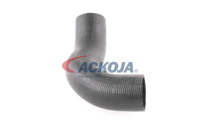 FURTUN EAR SUPRAALIMENTARE ACKOJA A380298 45