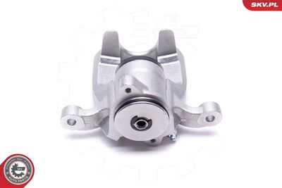 Brake Caliper 56SKV444