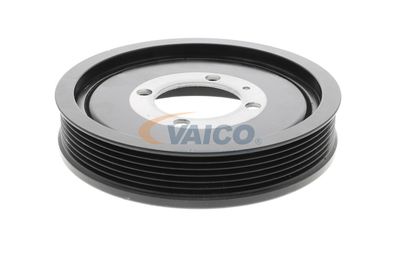 FULIE CUREA ARBORE COTIT VAICO V401178 32