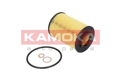 Oil Filter F107901