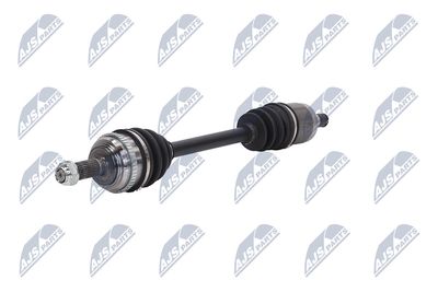 PLANETARA NTY NPWHD031 19