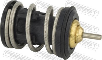 TERMOSTAT LICHID RACIRE