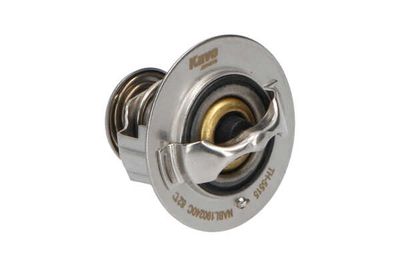 TERMOSTAT LICHID RACIRE Kavo Parts TH5515 25