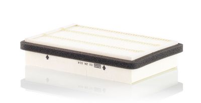 Filter, Innenraumluft