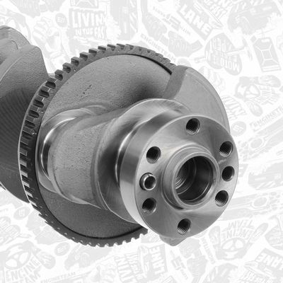 ARBORE COTIT ET ENGINETEAM HK0216 3