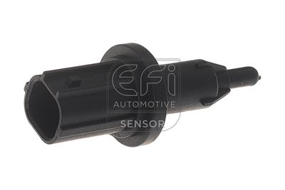 датчик, външна температура EFI AUTOMOTIVE 295031