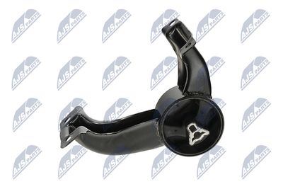 SUPORT MOTOR NTY ZPSCH052 37