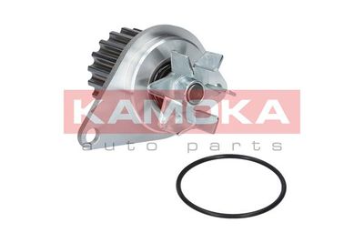 Water Pump, engine cooling T0089