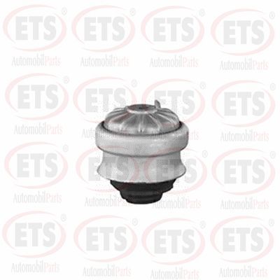 окачване, двигател ETS 15.EM.105
