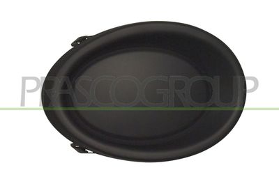 Облицовка, противотуманная фара PRASCO DS7131249
