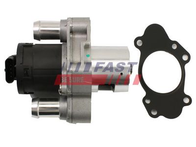 SUPAPA EGR FAST FT60220