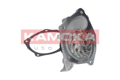 Water Pump, engine cooling T0220