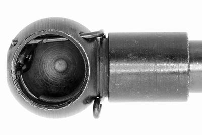 GASFEDER KOFFER-/LADERAUM VAICO V100236 1