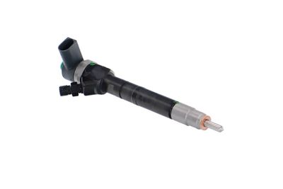 INJECTOR REMANTE 002003000141R 48
