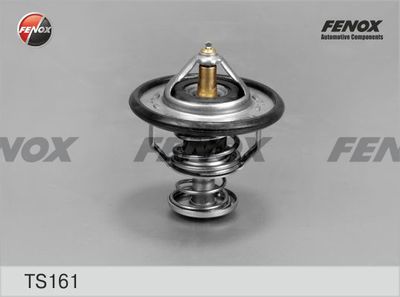 FENOX TS161 Термостат  для HYUNDAI PORTER (Хендай Портер)