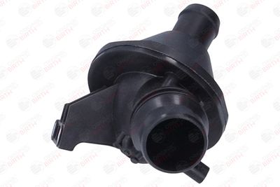 FLANSA LICHID RACIRE BIRTH 81868 9
