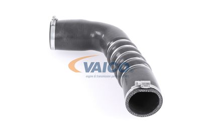 FURTUN EAR SUPRAALIMENTARE VAICO V103794 22