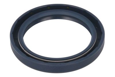 Achteras pruttelt (60x80x10mm)