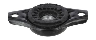 FEDERBEINSTüTZLAGER