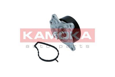 Water Pump, engine cooling T0088