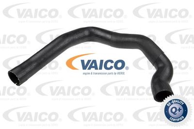 Трубка нагнетаемого воздуха VAICO V24-0684 для ALFA ROMEO 147
