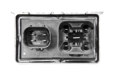 STEUERGERäT GLüHZEIT BorgWarner (BERU) GSE135 2