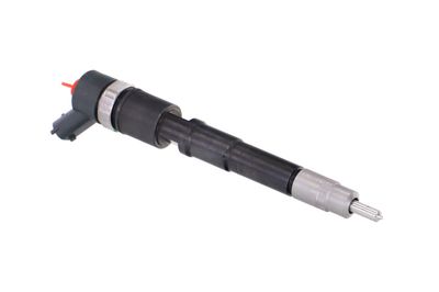 INJECTOR REMANTE 002003000031R 47