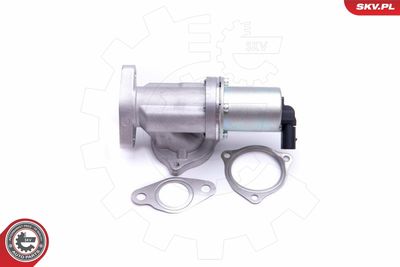 EGR Valve 14SKV209