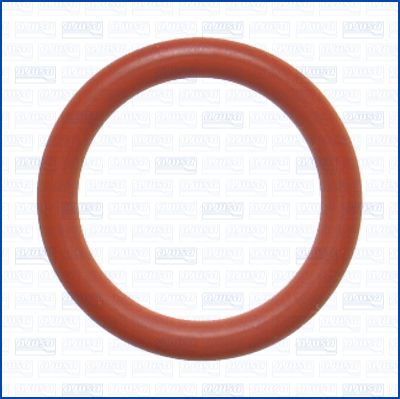 GARNITURA CONDUCTA LICHID DE RACIRE