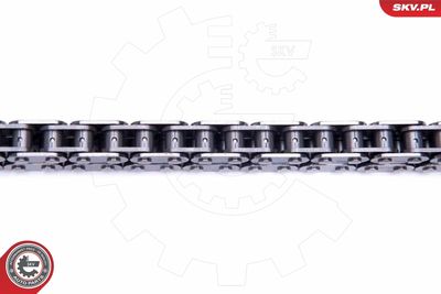 Timing Chain Kit 21SKV193