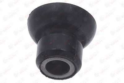 BUCSA ARBORE DE DIRECTIE BIRTH 40641 1