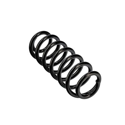 ARC SPIRAL EIBACH R13607 23