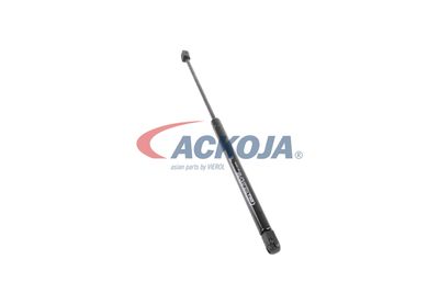 AMORTIZOR PORTBAGAJ ACKOJA A380126 47