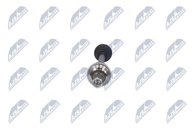 PLANETARA NTY NPWFR033 16