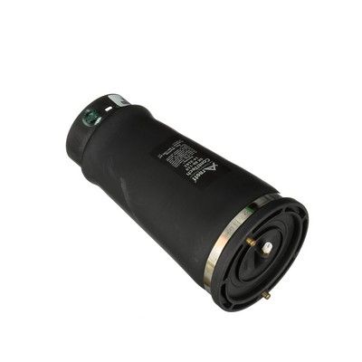 LUFTFEDER FAHRWERK Arnott A2202 67