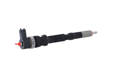 INJECTOR REMANTE 002003001196R 36