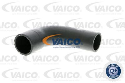 Трубка нагнетаемого воздуха VAICO V10-2914 для AUDI CABRIOLET