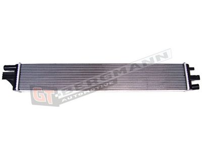 GT-BERGMANN Automotive Radiatorius, variklio aušinimas