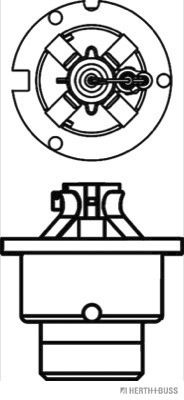 GLüHLAMPE FERNSCHEINWERFER Herth+Buss Elparts 89901314 1