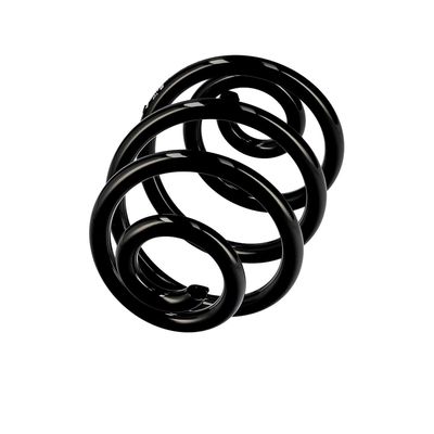 ARC SPIRAL EIBACH R10360 14