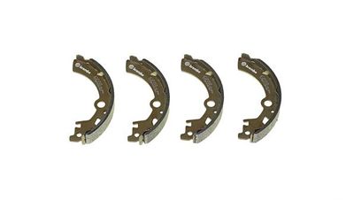 Brake Shoe Set S 79 519