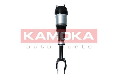 Air Suspension Strut 2070001