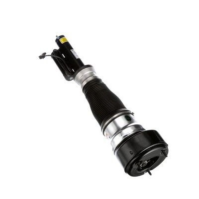 LUFTFEDERBEIN Arnott AS2540 56