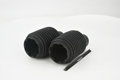 CHIT PROTECTIE PRAF AMORTIZOR FEBEST RNSHBFLUFKIT 44