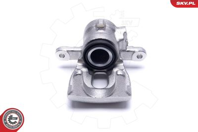 Brake Caliper 55SKV503